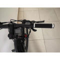 20 Inch Folding Foldable Bike 36V 250W 10 Ah Battery 25km/H Pedal Moped Electric Bike Electric Cycle